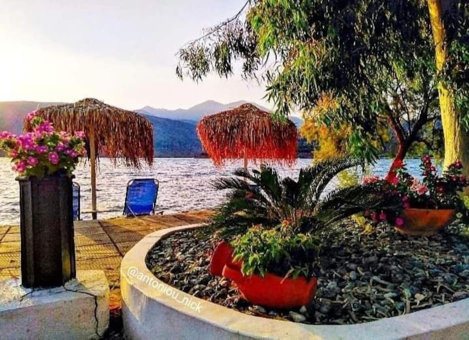 Apartament Seascape - Itea -Delphi Zewnętrze zdjęcie